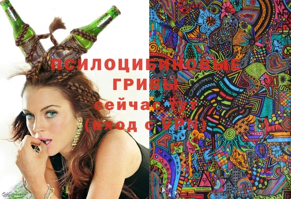 PSILOCYBIN Горно-Алтайск