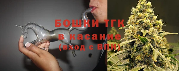 PSILOCYBIN Горно-Алтайск