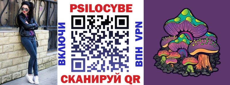 мориарти как зайти  KRAKEN   Завитинск  Псилоцибиновые грибы GOLDEN TEACHER 